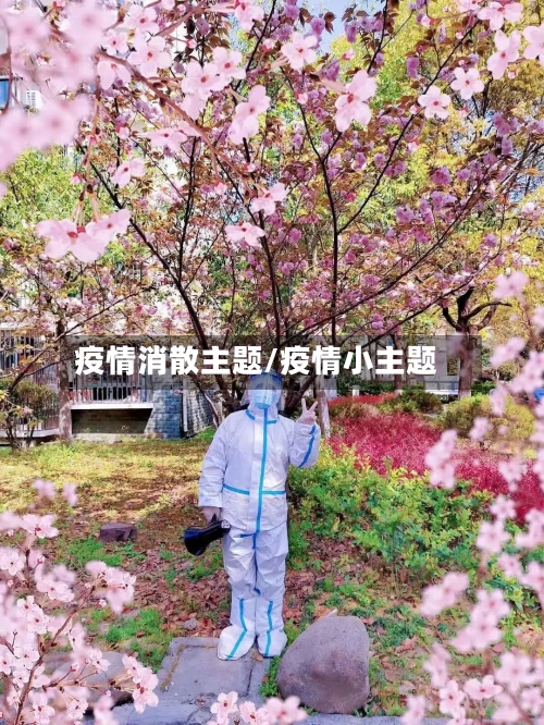 疫情消散主题/疫情小主题