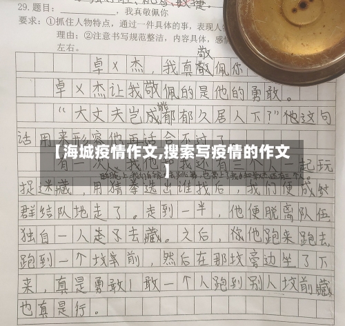 【海城疫情作文,搜索写疫情的作文】