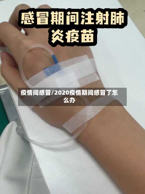 疫情间感冒/2020疫情期间感冒了怎么办