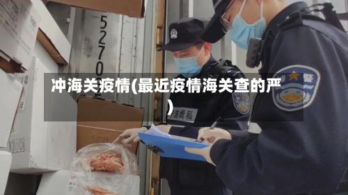 冲海关疫情(最近疫情海关查的严)