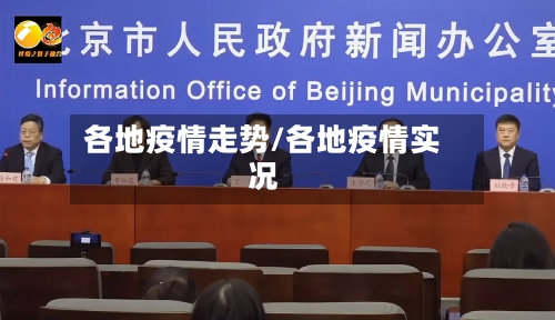 各地疫情走势/各地疫情实况