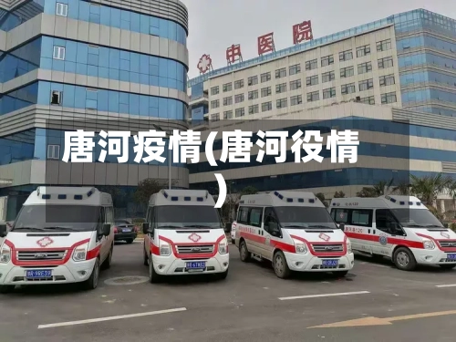 唐河疫情(唐河役情)