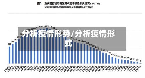 分析疫情形势/分析疫情形式