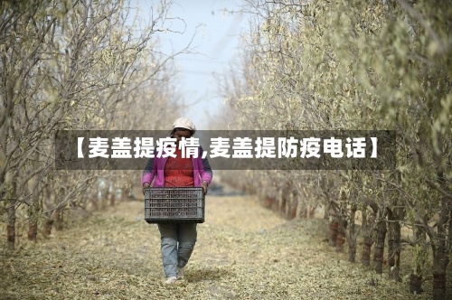 【麦盖提疫情,麦盖提防疫电话】