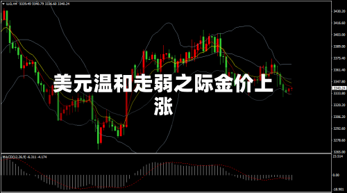 美元温和走弱之际金价上涨