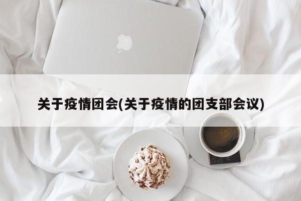 关于疫情团会(关于疫情的团支部会议)